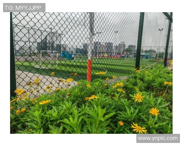 走进绿茵场感受拜访足球球星的英语交流魅力